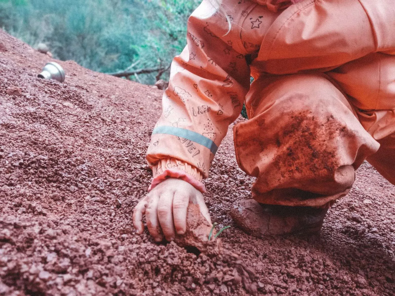 Catalunya ràdio – Escoles en mig del bosc – programa comarcal 947